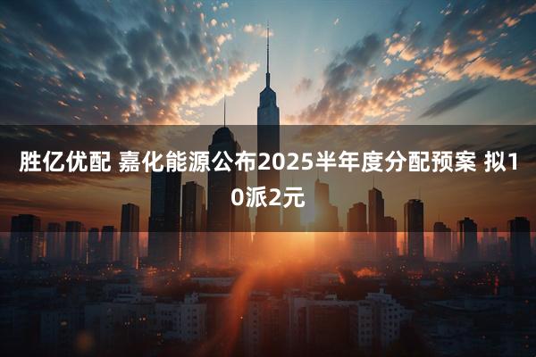 胜亿优配 嘉化能源公布2025半年度分配预案 拟10派2元