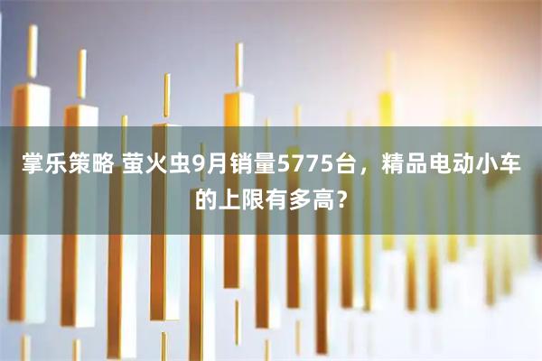 掌乐策略 萤火虫9月销量5775台,精品电动小车的上限有多高?