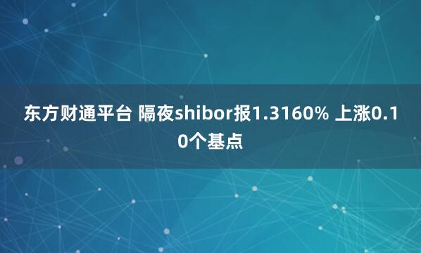 东方财通平台 隔夜shibor报1.3160% 上涨0.10个基点